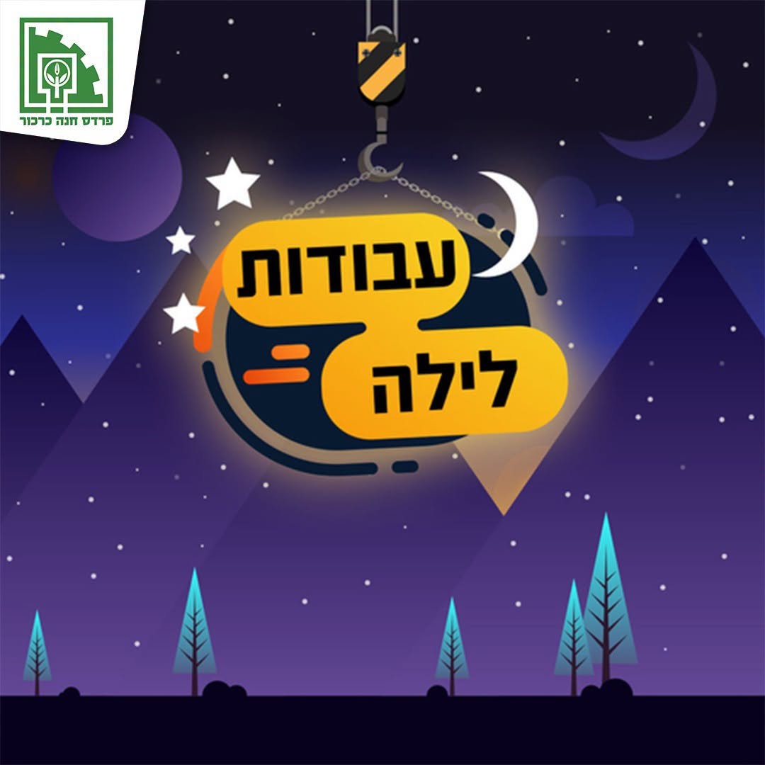 עבודות לילה בכביש